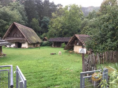 Besuch Keltendorf Elsran